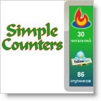 Simple Counters